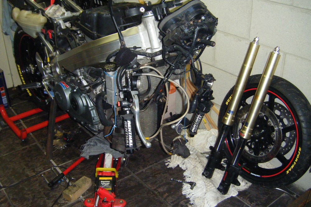 Jan-July 2010 522.jpg